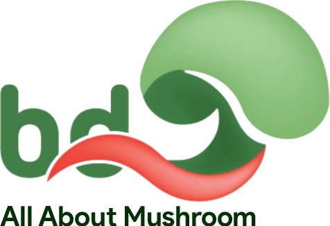BD Mushroom — All About Mushroom